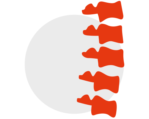 Vertebral